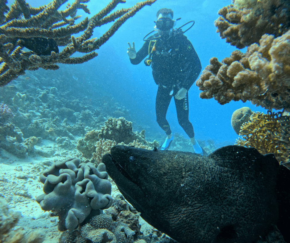 Buceo en Arrecifes Poco Profundos