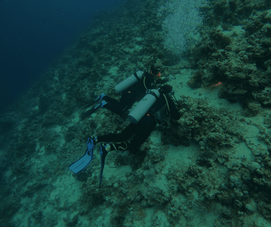 Buceo Nocturno