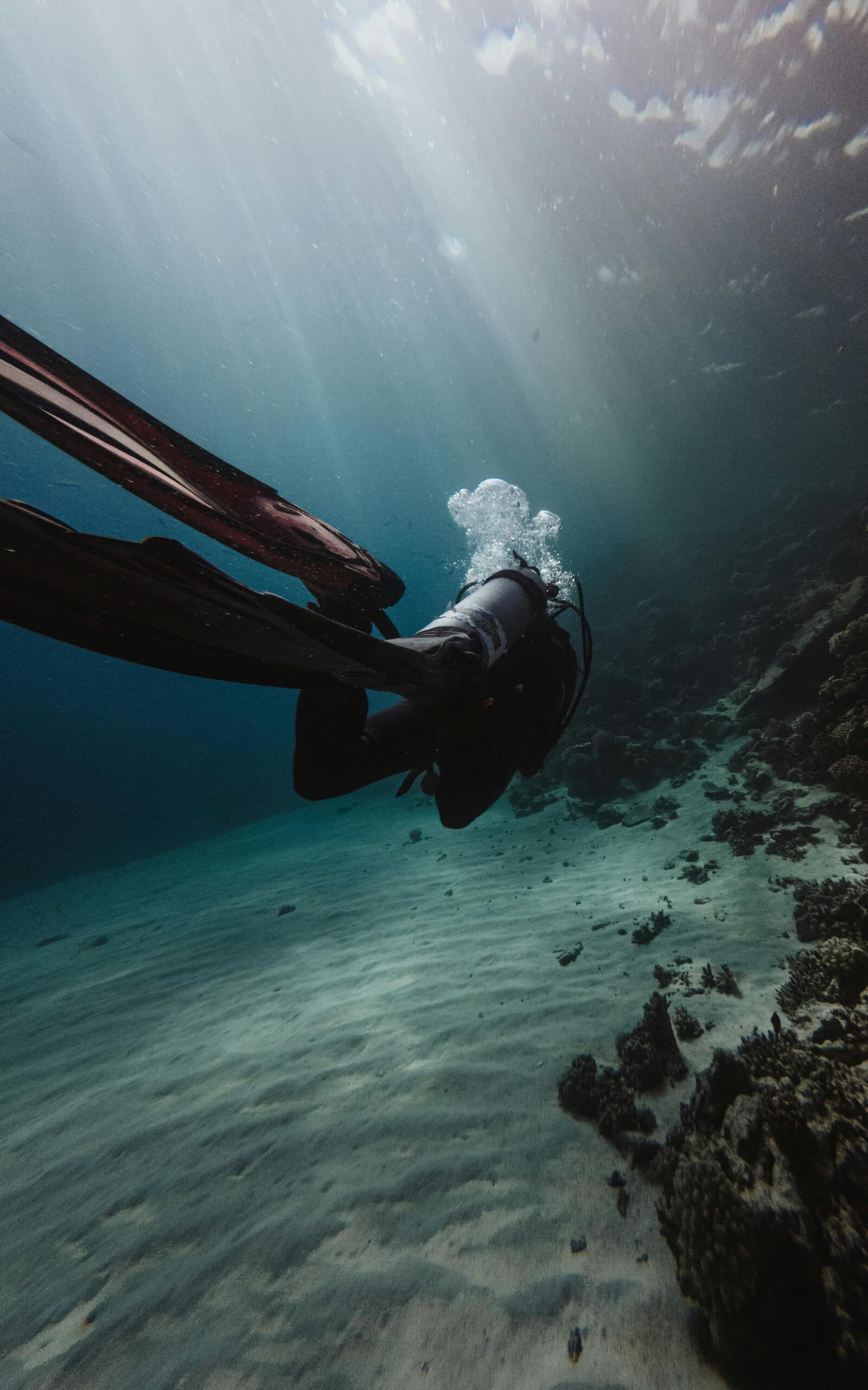Buceo Diario
