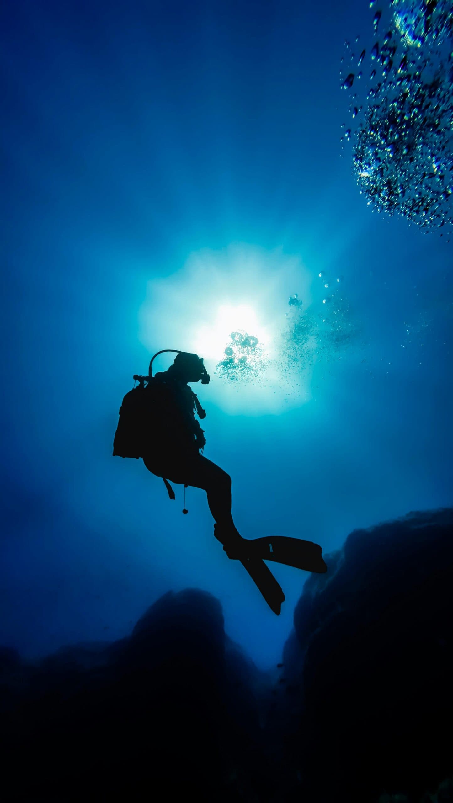 Cursos PADI